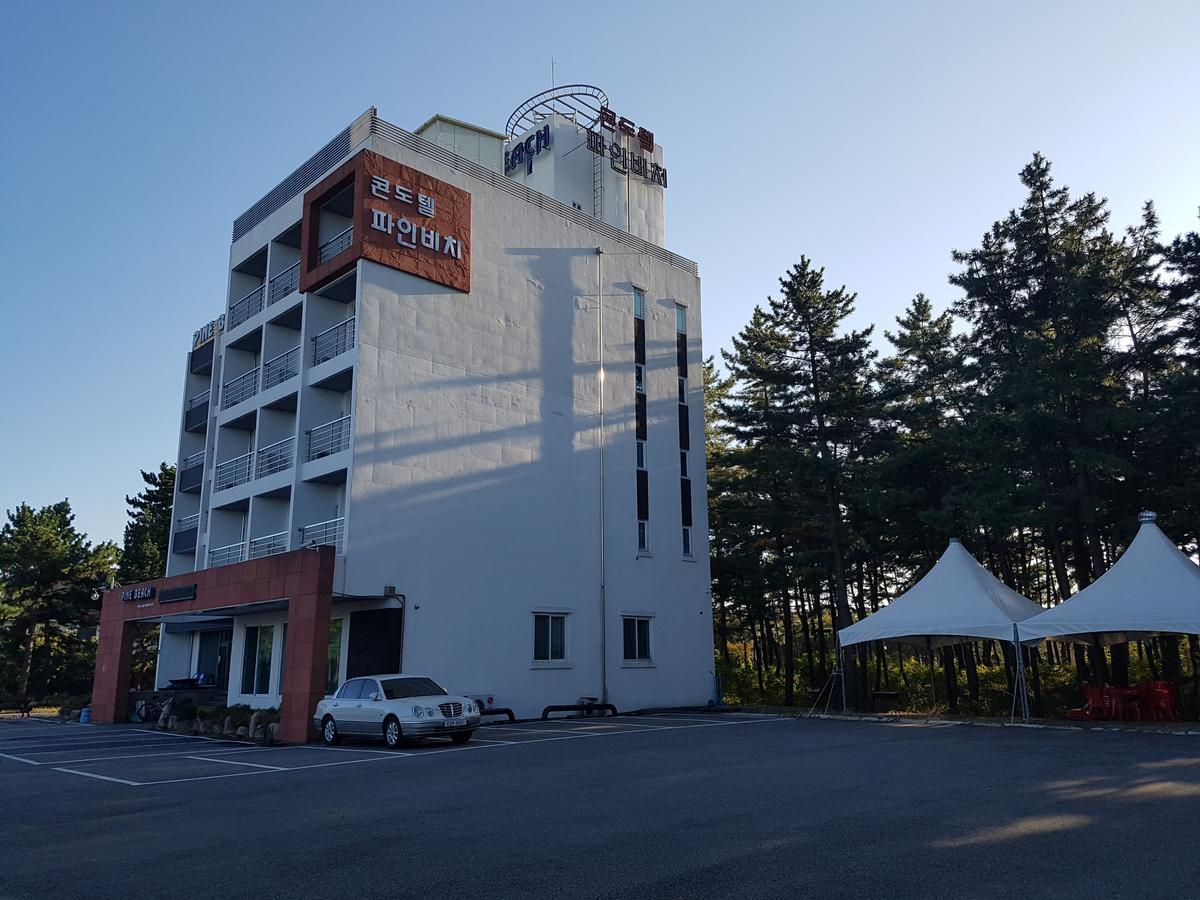 パイン ビーチ コンドテル【ペット可】 ヤンヤン エクステリア 写真