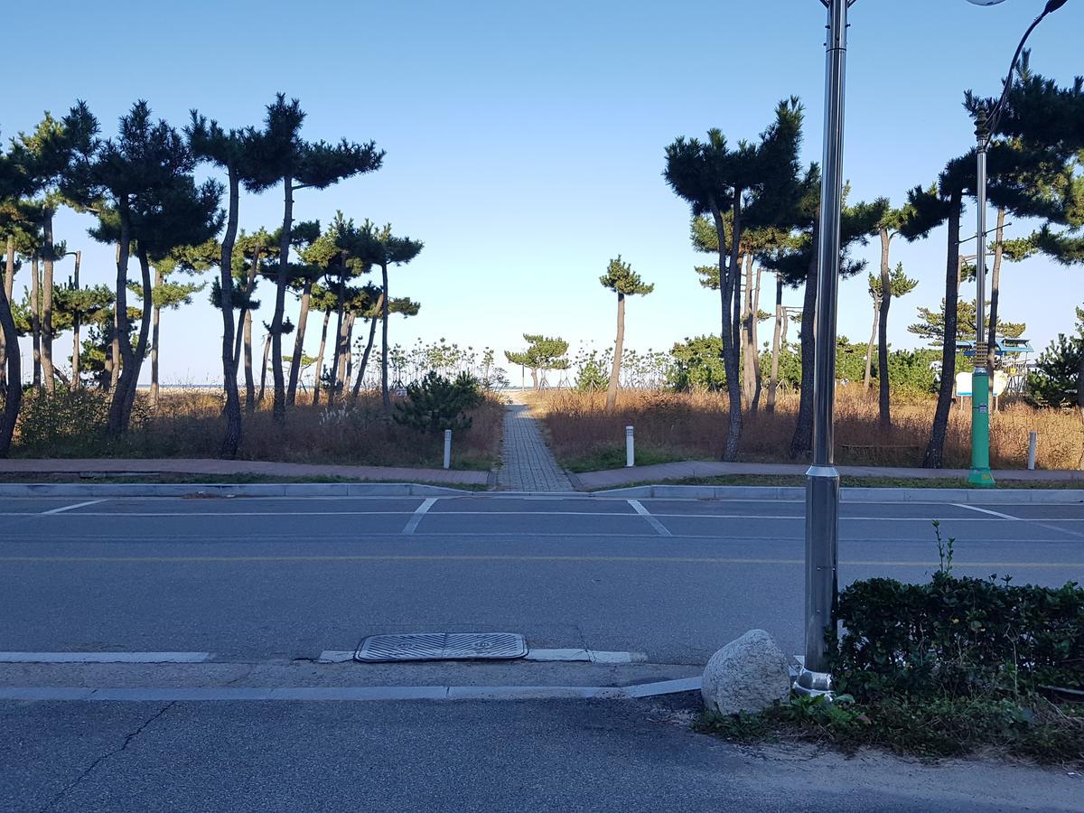 パイン ビーチ コンドテル【ペット可】 ヤンヤン エクステリア 写真